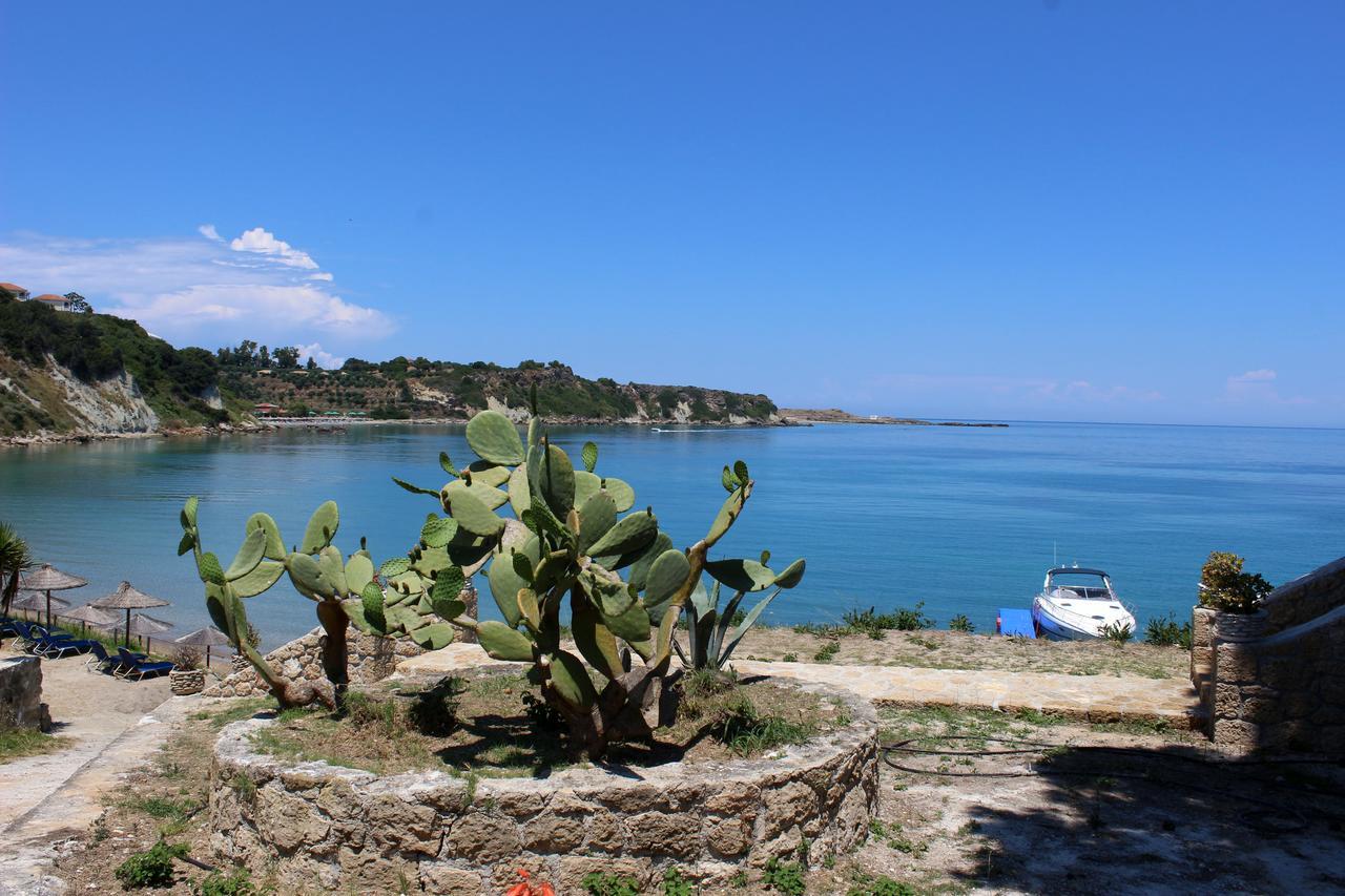 Zante Yliessa *